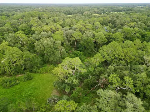 tbd SW 31st Way, Webster, FL 33597 photo 8
