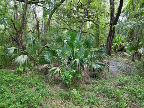tbd SW 31st Way, Webster, FL 33597 photo 12
