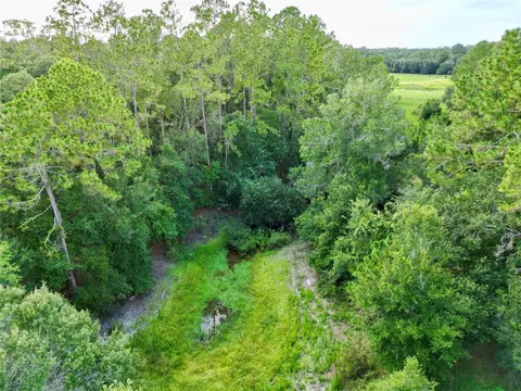 tbd SW 31st Way, Webster, FL 33597 photo 4