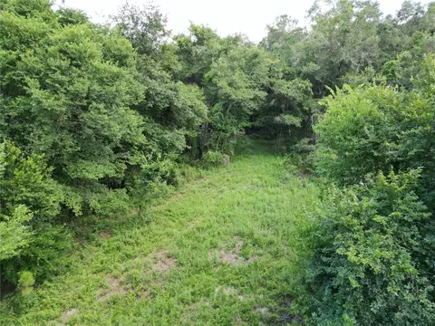 tbd SW 31st Way, Webster, FL 33597 photo 5