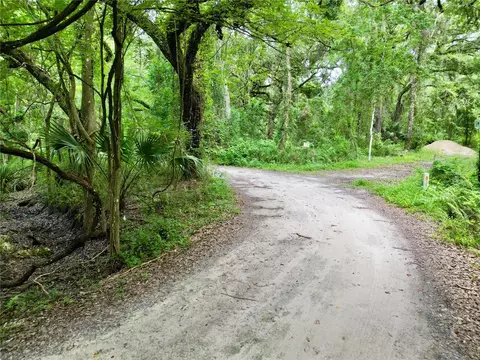 tbd SW 31st Way, Webster, FL 33597 photo 14