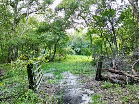 tbd SW 31st Way, Webster, FL 33597 photo 2