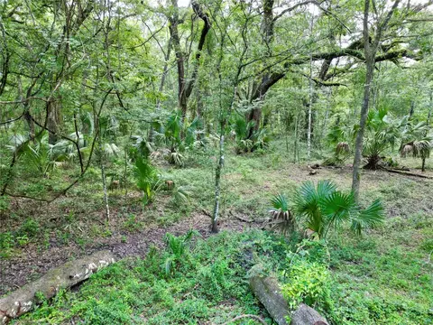 tbd SW 31st Way, Webster, FL 33597 photo 11