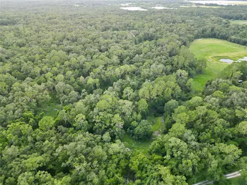 tbd SW 31st Way, Webster, FL 33597 photo 3