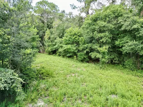 tbd SW 31st Way, Webster, FL 33597 photo 10