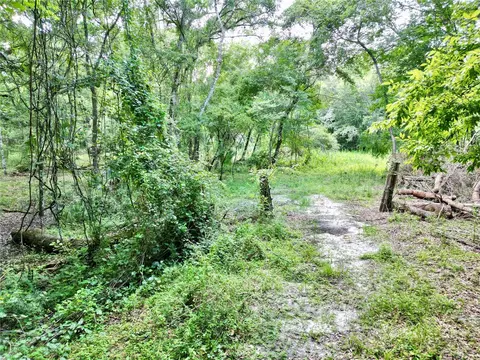 tbd SW 31st Way, Webster, FL 33597 photo 15