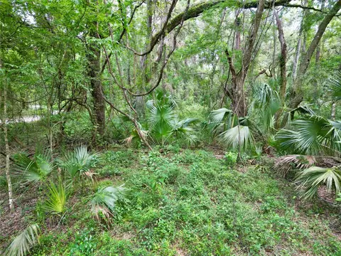 tbd SW 31st Way, Webster, FL 33597 photo 13