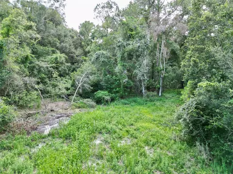 tbd SW 31st Way, Webster, FL 33597 photo 9