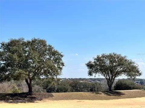 16822 Artimino Loop, Bella Collina, FL 34756