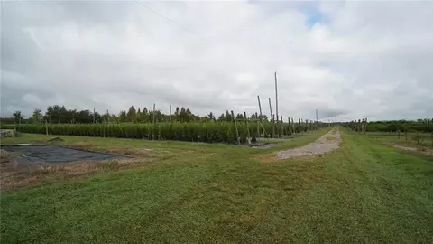 Douglas Road, Groveland, FL 34736