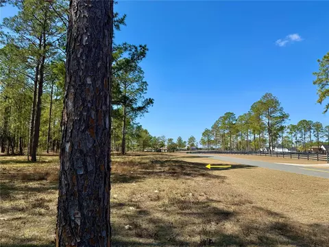 35135 Pinegate Trl, Eustis, FL 32736 photo 21