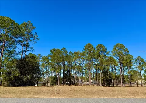 35135 Pinegate Trl, Eustis, FL 32736 photo 7