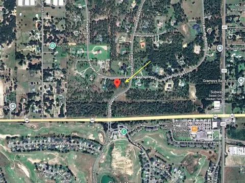 35135 Pinegate Trl, Eustis, FL 32736 photo 16