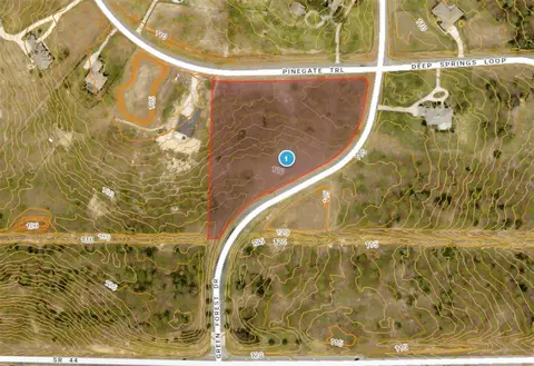 35135 Pinegate Trl, Eustis, FL 32736 photo 14