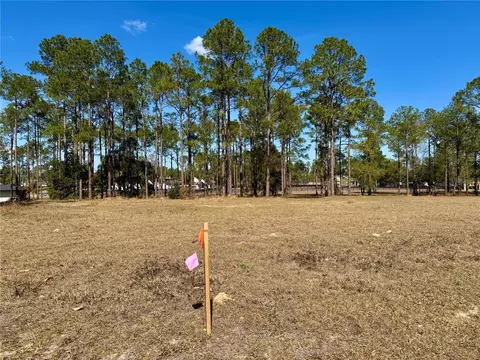 35135 Pinegate Trl, Eustis, FL 32736 photo 5