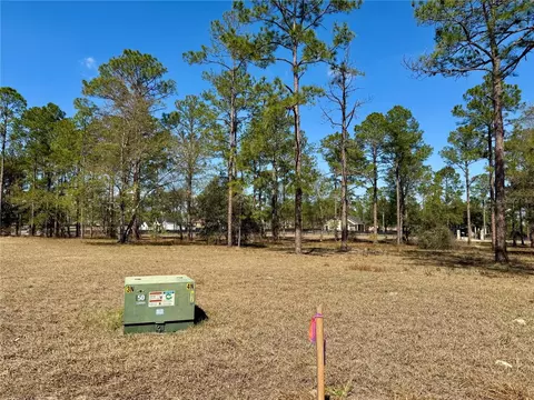 35135 Pinegate Trl, Eustis, FL 32736 photo 18