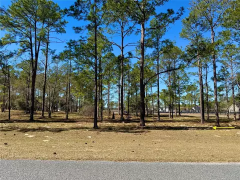 35135 Pinegate Trl, Eustis, FL 32736 photo 8