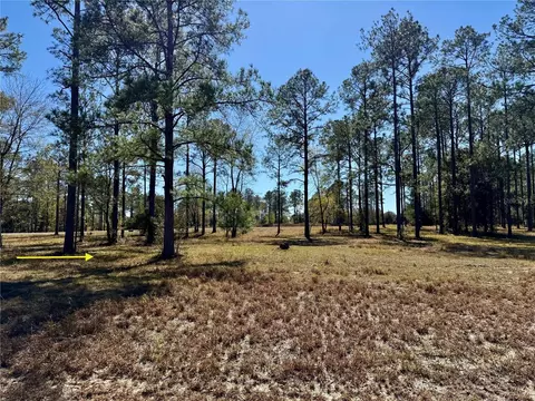 35135 Pinegate Trl, Eustis, FL 32736 photo 10