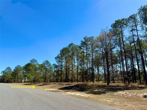 35135 Pinegate Trl, Eustis, FL 32736 photo 12