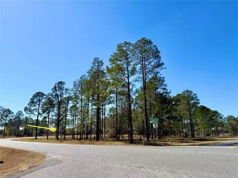 35135 Pinegate Trl, Eustis, FL 32736 photo 13