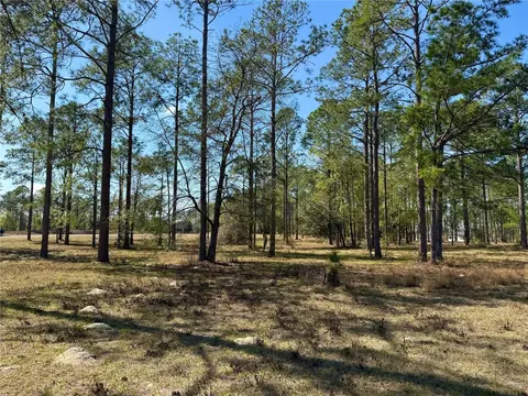 35135 Pinegate Trl, Eustis, FL 32736 photo 20