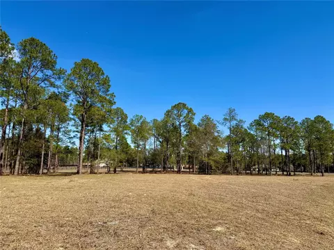 35135 Pinegate Trl, Eustis, FL 32736 photo 6