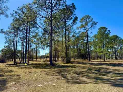 35135 Pinegate Trl, Eustis, FL 32736 photo 9