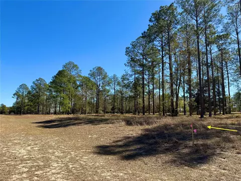 35135 Pinegate Trl, Eustis, FL 32736 photo 11
