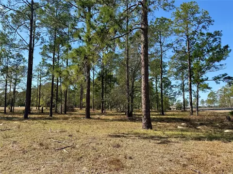 35135 Pinegate Trl, Eustis, FL 32736 photo 19