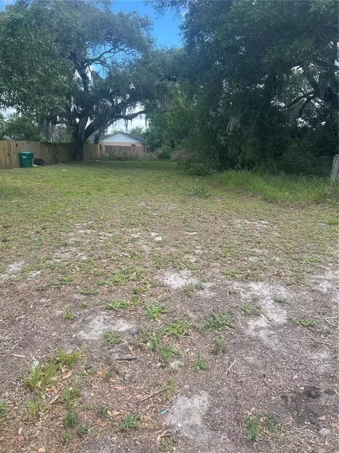E Jackson Avenue, Mount Dora, FL 32757