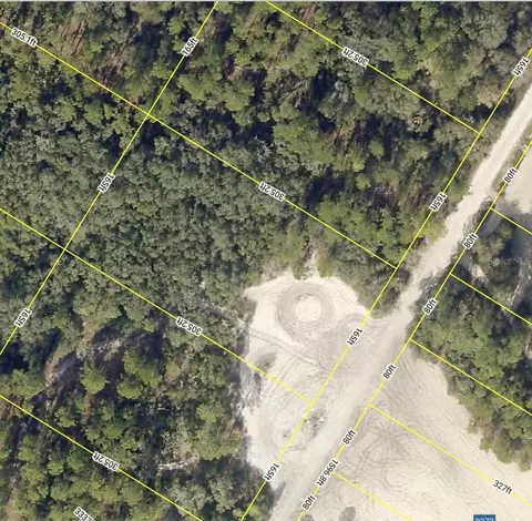 Medicine Stone Drive, Webster, FL 33597