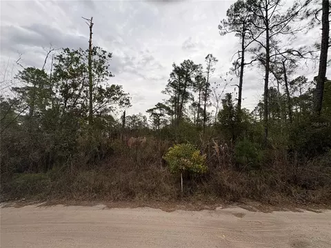 Georgia Street, Paisley, FL 32767