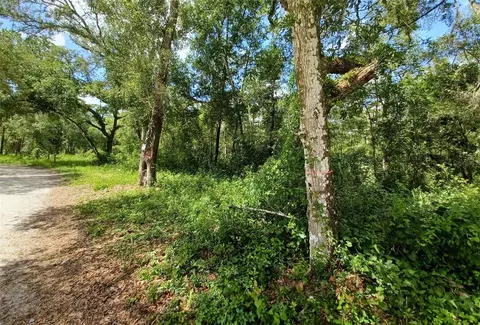 40 Th, Webster, FL 33597 photo 6
