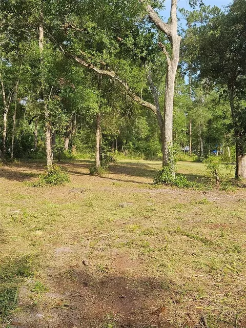 40 Th, Webster, FL 33597 photo 4