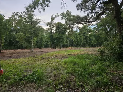 40 Th, Webster, FL 33597 photo 7