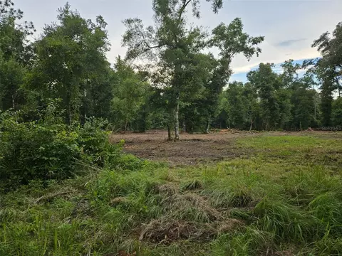 40 Th, Webster, FL 33597 photo 8