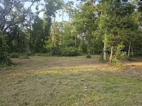 40 Th, Webster, FL 33597 photo 2