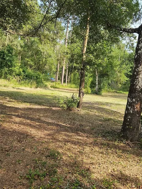 40 Th, Webster, FL 33597 photo 3