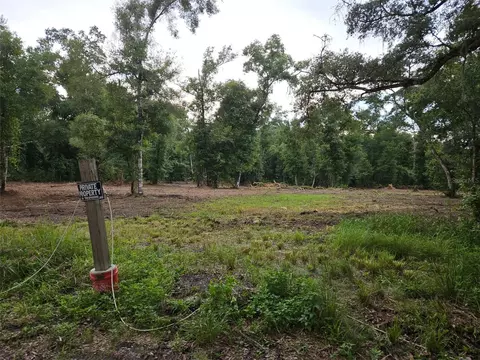 40 Th, Webster, FL 33597