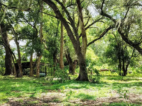 14240 Sr 471, Webster, FL 33597 photo 14