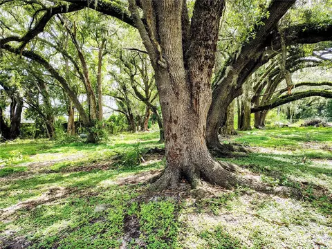 14240 Sr 471, Webster, FL 33597 photo 12