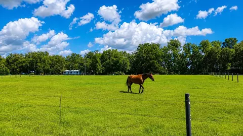 14240 Sr 471, Webster, FL 33597 photo 9