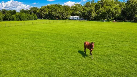 14240 Sr 471, Webster, FL 33597 photo 4