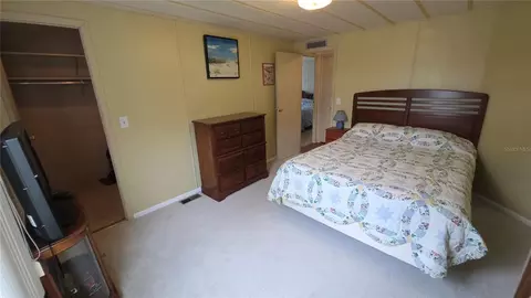 252 Pinewood Dr, Eustis, FL 32726 photo 22