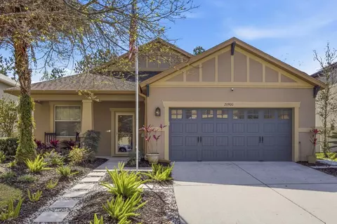 20900 Oldenburg Loop, Mount Dora, FL 32757