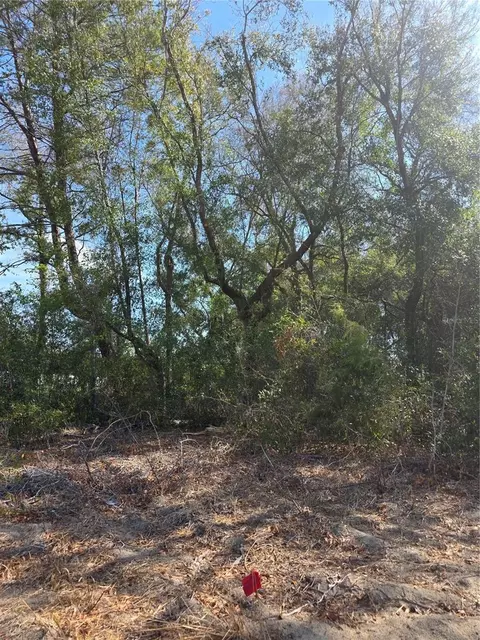 tbd SE 161st St, Summerfield, FL 34491