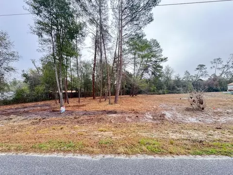 Palm Street, Paisley, FL 32767