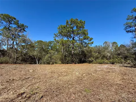 lot11 Poinciana St, Eustis, FL 32736