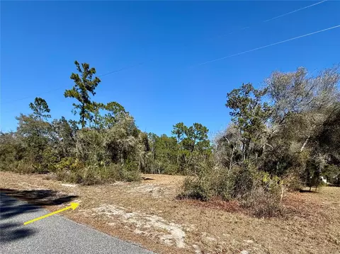 lot11 Poinciana St, Eustis, FL 32736