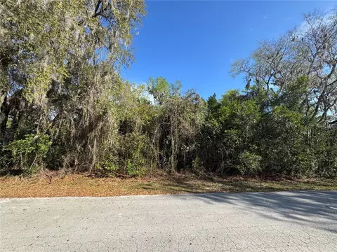 Cr 482c, Lake Panasoffkee, FL 33538